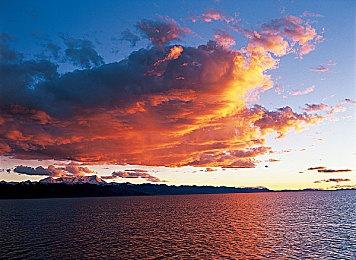 《NBA》《WWE》开发商打造3A开放世界竞速游戏