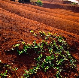 Epic喜加一：《Spelldrifter》免费领、明日神秘游戏